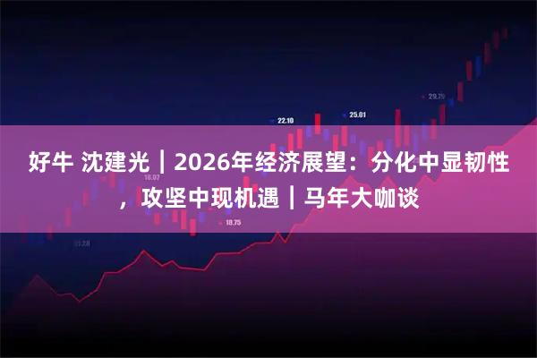 好牛 沈建光︱2026年经济展望：分化中显韧性，攻坚中现机遇︱马年大咖谈