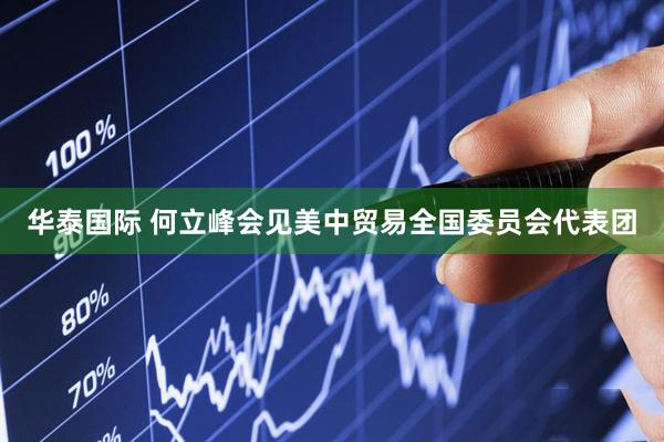 华泰国际 何立峰会见美中贸易全国委员会代表团