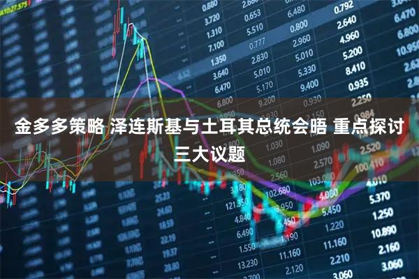 金多多策略 泽连斯基与土耳其总统会晤 重点探讨三大议题