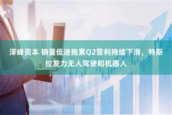 泽峰资本 销量低迷拖累Q2营利持续下滑，特斯拉发力无人驾驶和机器人