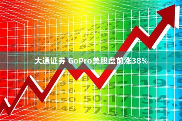 大通证券 GoPro美股盘前涨38%