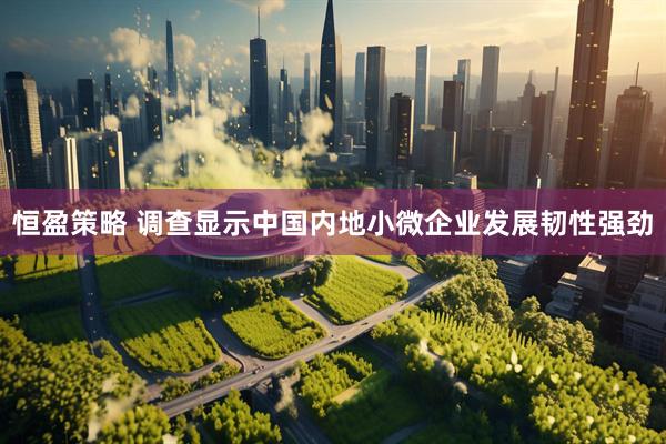 恒盈策略 调查显示中国内地小微企业发展韧性强劲