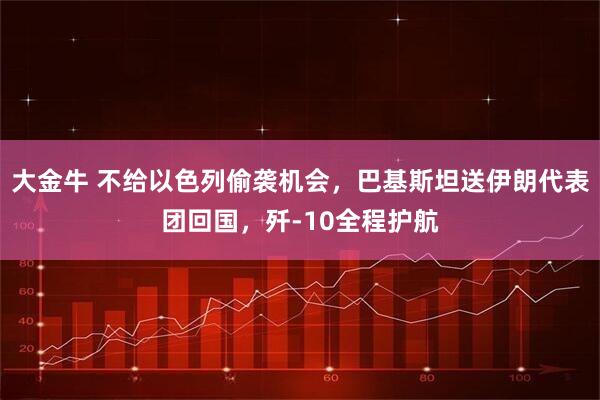 大金牛 不给以色列偷袭机会，巴基斯坦送伊朗代表团回国，歼-10全程护航