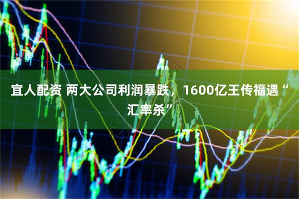 宜人配资 两大公司利润暴跌，1600亿王传福遇“汇率杀”