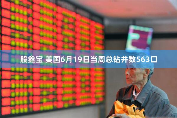 股鑫宝 美国6月19日当周总钻井数563口