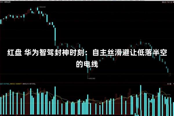 红盘 华为智驾封神时刻:自主丝滑避让低落半空的电线
