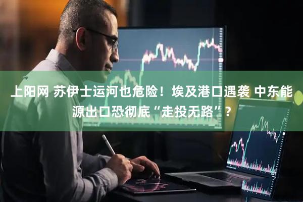 上阳网 苏伊士运河也危险！埃及港口遇袭 中东能源出口恐彻底“走投无路”？